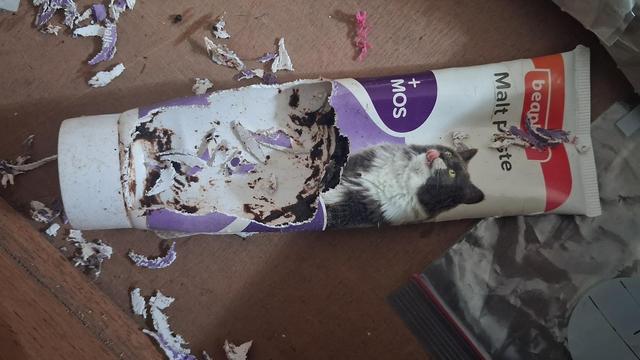 A tube of beaphar malt paste that's been ripped open and licked out, surrounded by scraps of tube. It's in the bottom of a wooden drawer.  There are traces of malt paste still in the tube. The lick and nibble marks are clearly visible.