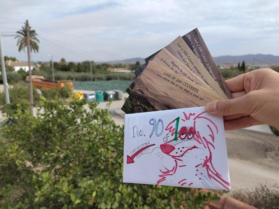 I am holding up 4 picture postcards and an envelope with a hand-drawn dog and "No. 90" written on it. In the background is a Murcian landscape.