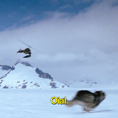 Single cover with a picture of a wolf or a husky-like dog running on the snow with an helicopter flying and a cloudy sky and some mountains covered with snow in the background. Plus the band name.