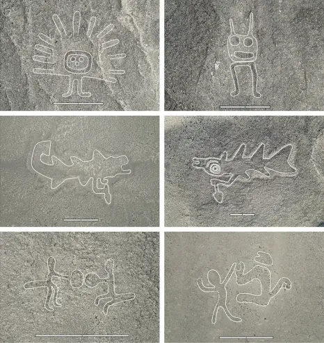 Hedgehog peacock, jazzcat, crocodile with a trowel, crocodile with a trowel 2, squirrel nut-fight, and person fighting off a monkey.