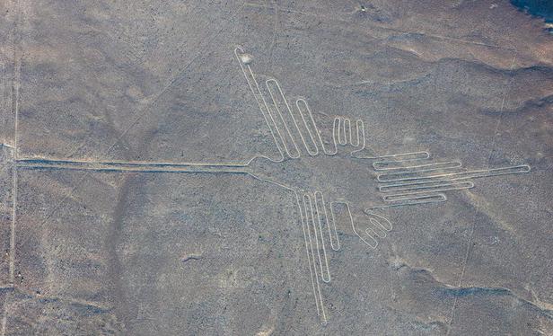 Very very large bird with looooooong nose (beak)